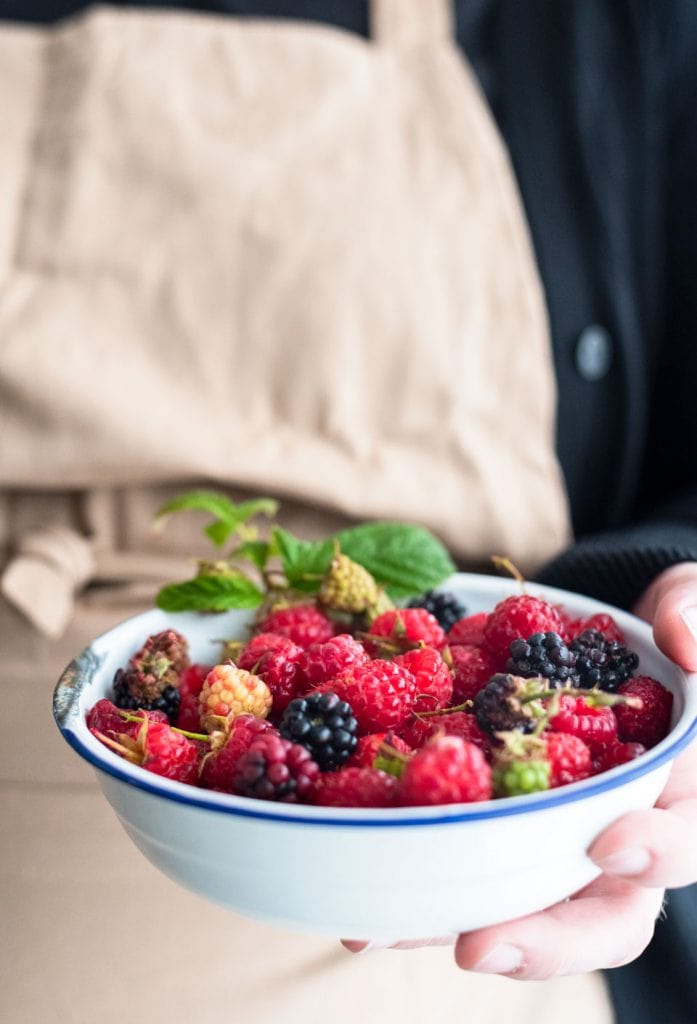 Zelf geplukte frambozen