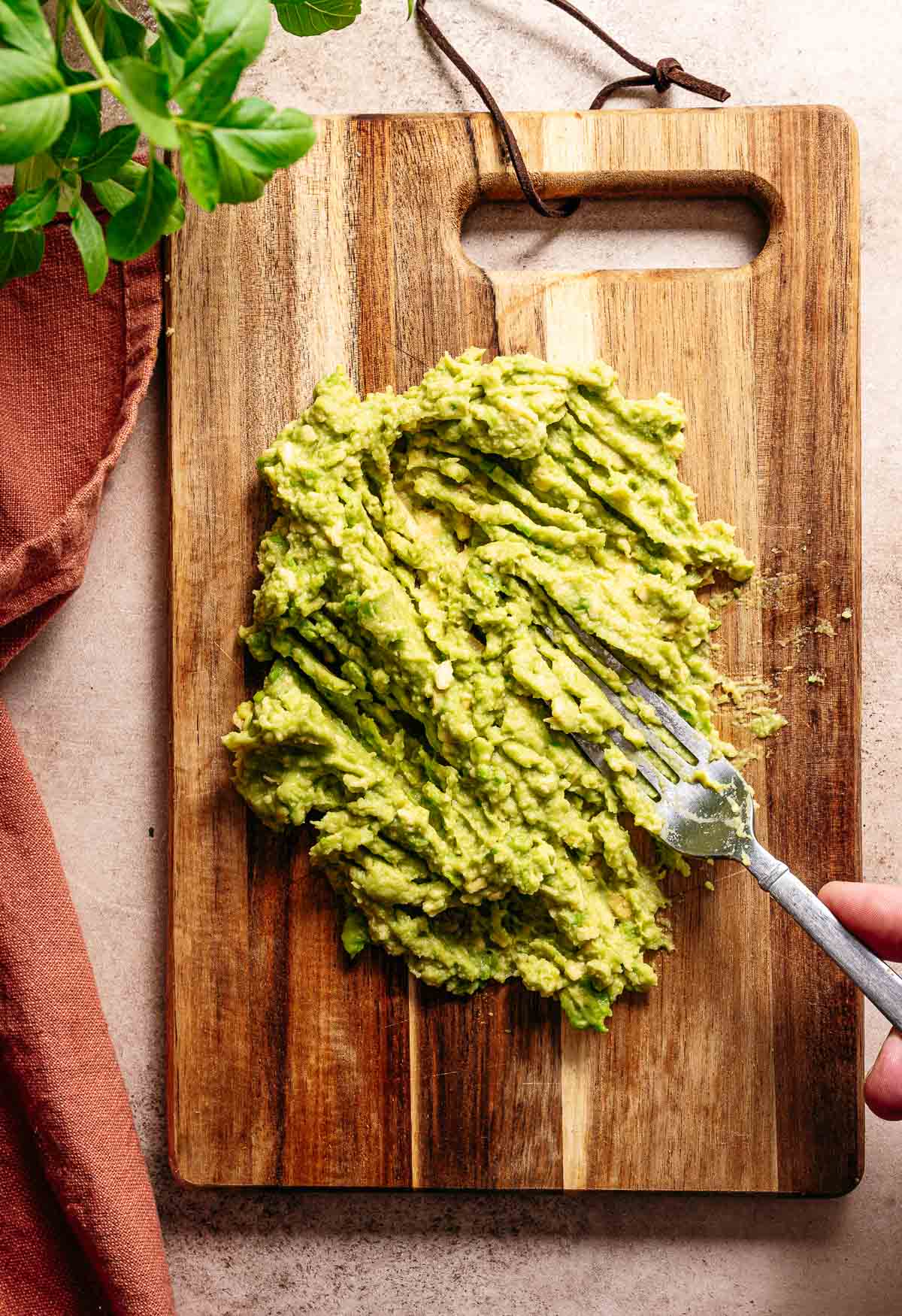 Avocado's prakken