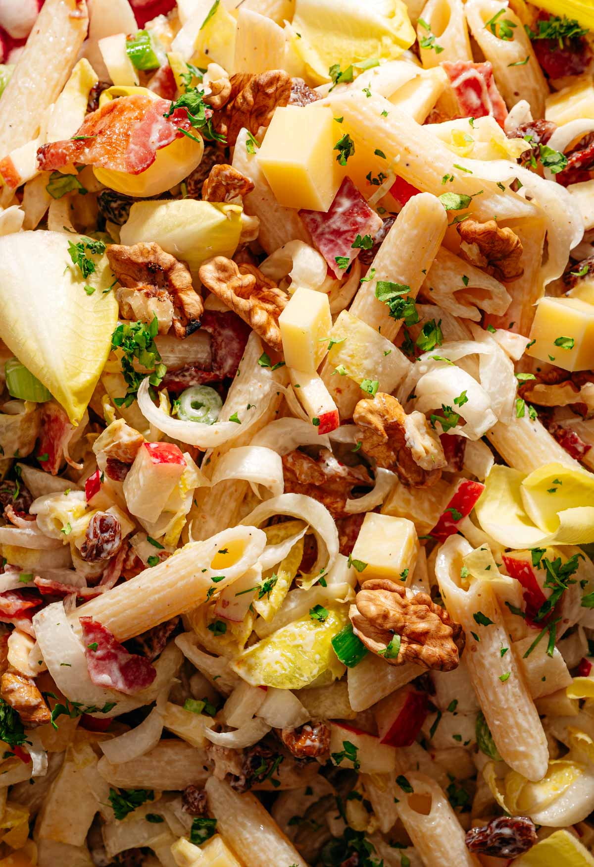 Romige witlof pastasalade